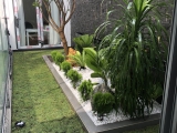 THI CÔNG ĐỒI CỎ