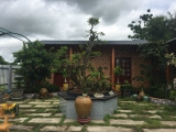 THI CÔNG CÂY CÔNG TRÌNH TIỀN GIANG