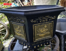 CHẬU KIỂNG GÒ CÔNG