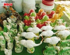 LINH VẬT TRANG TRÍ