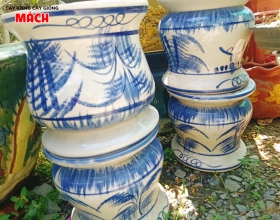 CHẬU KIỂNG ĐẸP - CHẬU GIÁ TỐT