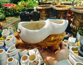 CHẬU KIỂNG 4