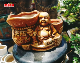 CHẬU KIỂNG 3