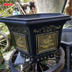 CHẬU KIỂNG GÒ CÔNG