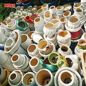 CHẬU KIỂNG ĐẸP GIÁ RẺ TẠI GÒ CÔNG