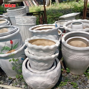 CUNG CẤP CHẬU KIỂNG