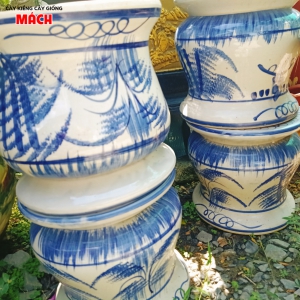 CHẬU KIỂNG ĐẸP - CHẬU GIÁ TỐT