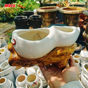 CHẬU KIỂNG 4