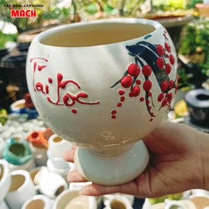 CHẬU KIỂNG ĐẸP
