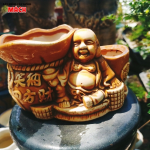 CHẬU KIỂNG 3