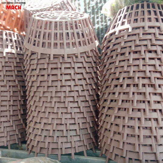 CHẬU NHỰA - MUA CHẬU KIỂNG