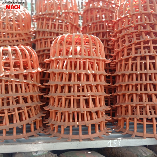 CHẬU NHỰA - MUA CHẬU KIỂNG