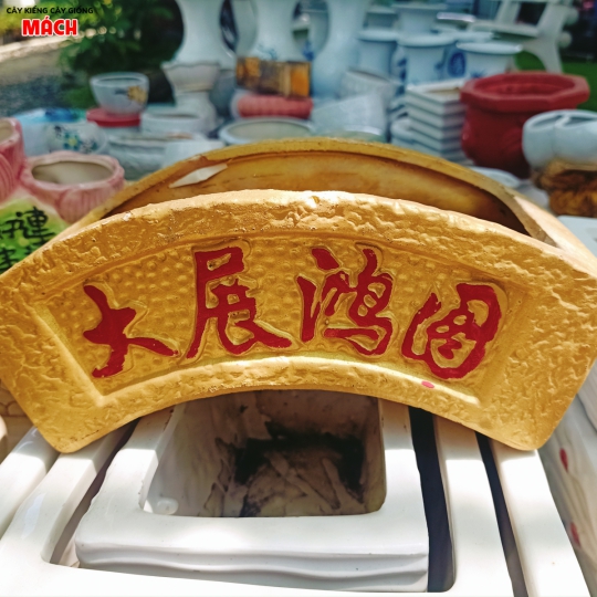 CHẬU KIỂNG 5